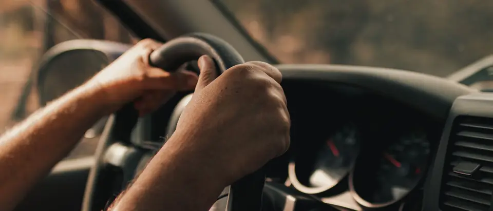 A driver's two hands on a steering wheel, with the instrument dials behind them and trees blurred through the windshield